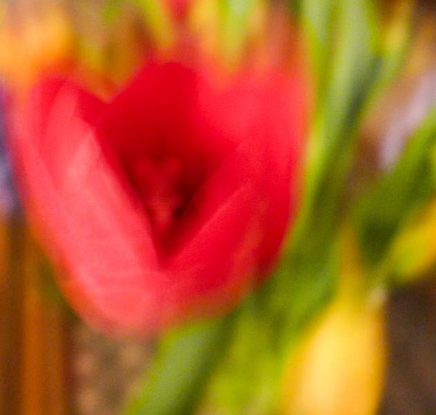 Flowers 3 178-Edit-Edit.jpg